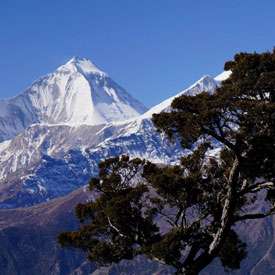 Dhaulagiri Region Trekking