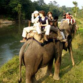 Jungle Safari in Nepal