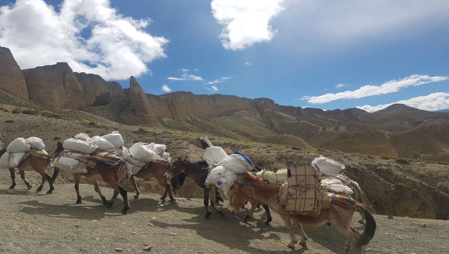 Upper Mustang Trek