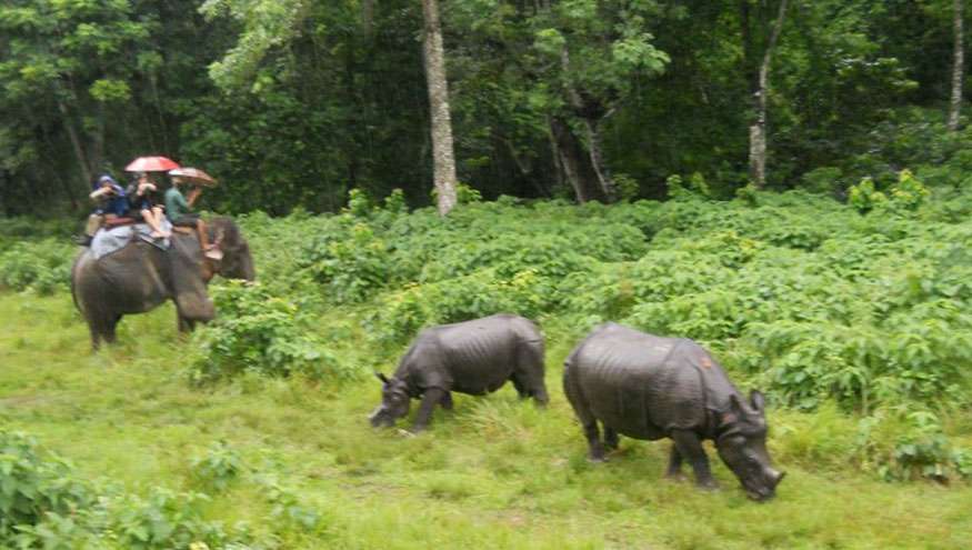 Chitwan Jungle Safari