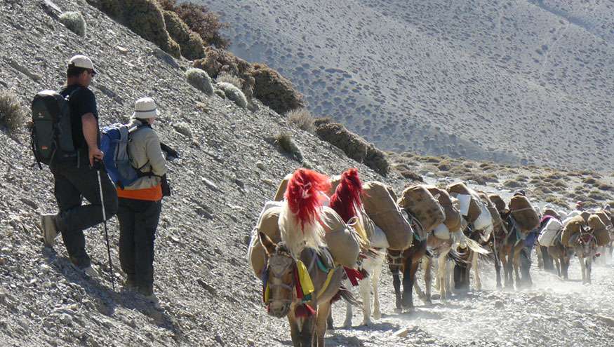 Dhaulagiri Expedition