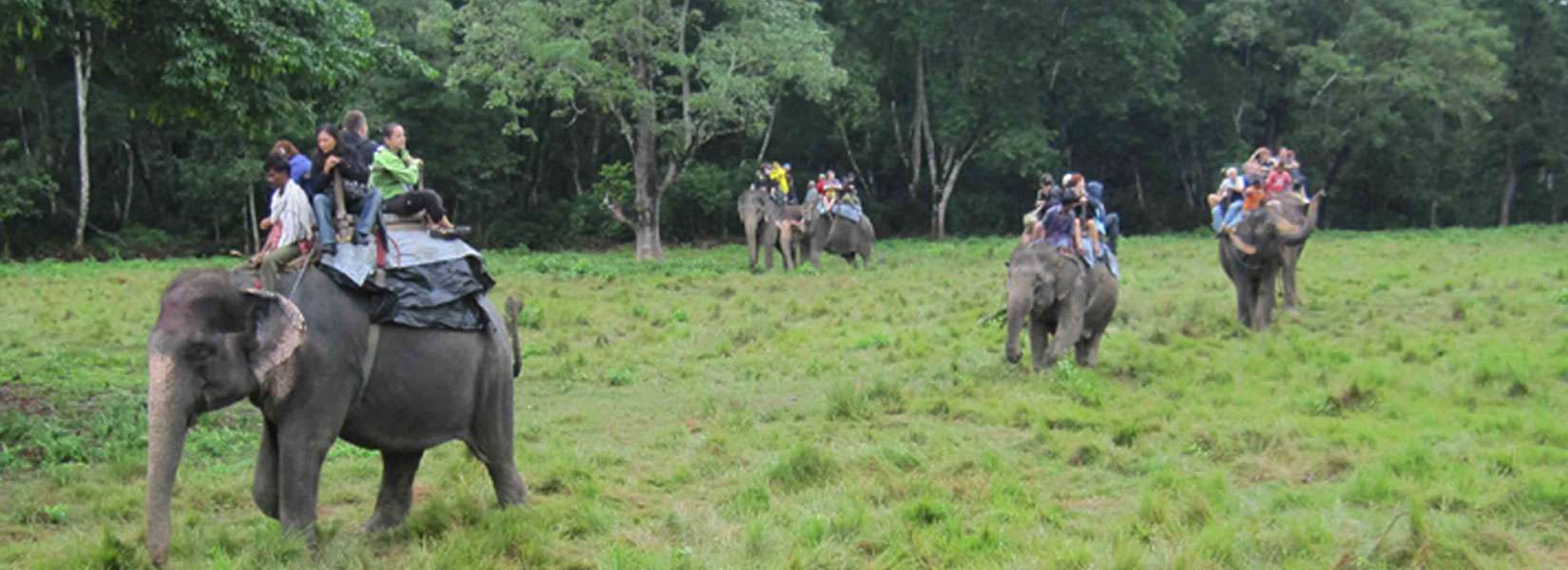 Jungle Safari in Nepal