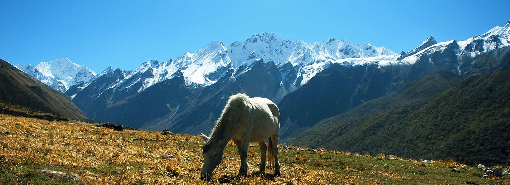 Langtang Region Trekking