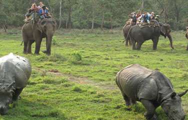 Chitwan Jungle Safari