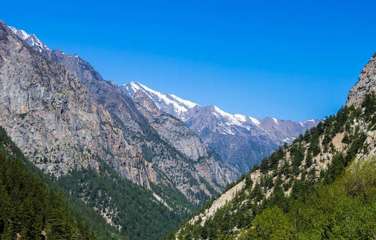 Pike Peak Trekking